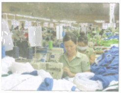 Bài tập 11 trang 39 Tài liệu dạy – học Toán 7 tập 1 1