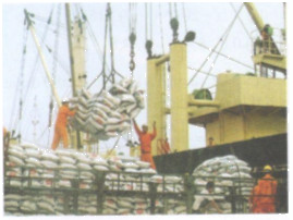 Bài tập 12 trang 40 Tài liệu dạy – học Toán 7 tập 1 1