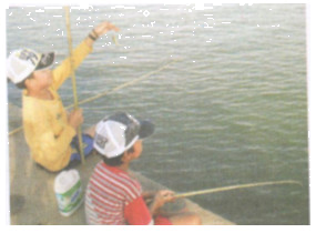 Bài tập 13 trang 68 Tài liệu dạy – học Toán 7 tập 1 1