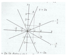 Bài tập 13 trang 95 Tài liệu dạy – học Toán 7 tập 1 1