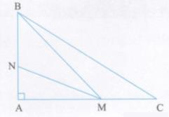 Bài tập 13 trang 96 Tài liệu dạy – học Toán 7 tập 2 1