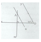 Bài tập 14 trang 116 Tài liệu dạy – học Toán 7 tập 1 1