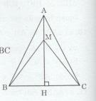 Bài tập 15 trang 97 Tài liệu dạy – học Toán 7 tập 2 1