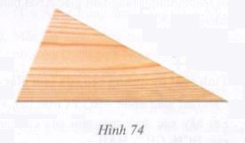 Bài tập 29 trang 124 Tài liệu dạy – học Toán 7 tập 2 1