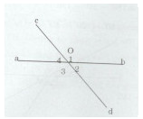 Bài tập 4 trang 118 Tài liệu dạy – học Toán 7 tập 1 1