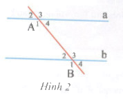 Bài tập 4 trang 133 Tài liệu dạy – học Toán 7 tập 1 1