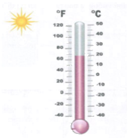 Bài tập 5 trang 96 Tài liệu dạy – học Toán 7 tập 1 1