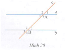 Bài tập 8 trang 118 Tài liệu dạy – học Toán 7 tập 1 1