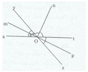 Bài tập 9 trang 116 Tài liệu dạy – học Toán 7 tập 1 1