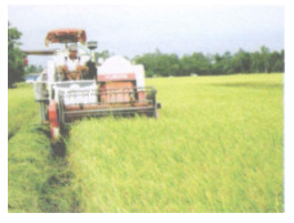 Bài tập 9 trang 78 Tài liệu dạy – học Toán 7 tập 1 1