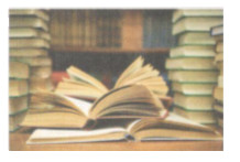 Bạn nào đúng 1 chủ đề 5? 1