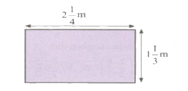 Bạn nào đúng 6 trang 53 Tài liệu dạy – học toán 6 tập 2 1