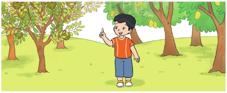 Bảng cộng (có nhớ) trong phạm vi 20 4