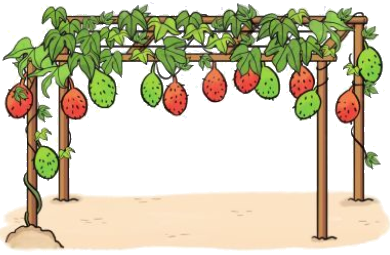 Bảng trừ (có nhớ) trong phạm vi 20 3 1