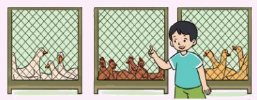 Các số có ba chữ số (tiếp theo) 3 1