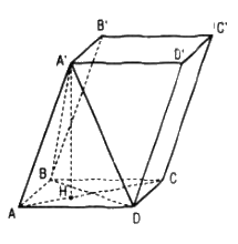 Câu 33 trang 118 SGK Hình học 11 Nâng cao 1