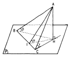 Câu 4 trang 120 SGK Hình học 11 Nâng cao 2