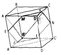 Câu 5 trang 125 SGK Hình học 11 Nâng cao 1
