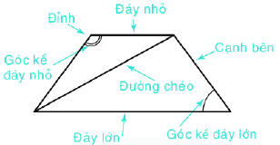 Dạng 1. Đặc điểm của một số hình phẳng quan trọng Chủ đề 8 Ôn hè Toán 6 0 17