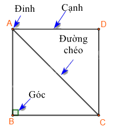 Dạng 1. Đặc điểm của một số hình phẳng quan trọng Chủ đề 8 Ôn hè Toán 6 5