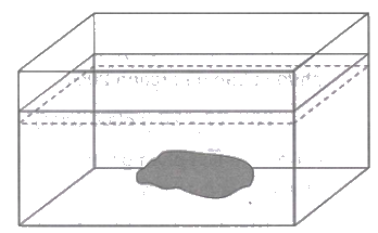 Dạng 2: Bài toán về hình hộp chữ nhật, hình lập phương - Toán nâng cao lớp 5 6