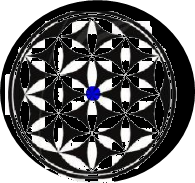 Dạng 2. Nhận biết hình có tâm đối xứng Chủ đề 9 Ôn hè Toán 6 1 3