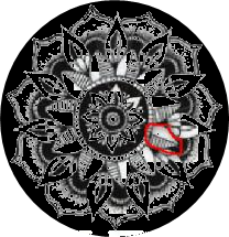 Dạng 2. Nhận biết hình có tâm đối xứng Chủ đề 9 Ôn hè Toán 6 7