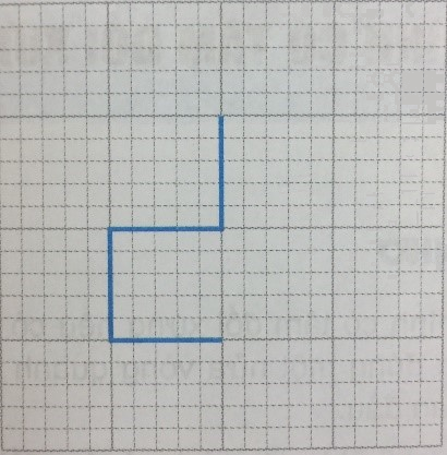 Dạng 3. Vẽ hình có trục đối xứng, tâm đối xứng Chủ đề 9 Ôn hè Toán 6 1 4