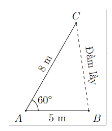Đề cương ôn tập học kì 1 Toán 10 - Chân trời sáng tạo 10