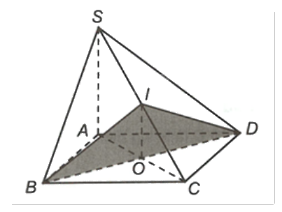 Đề cương ôn tập học kì 1 Toán 11 - Chân trời sáng tạo 11