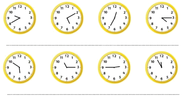 Đề cương ôn tập học kì 1 Toán 3 - Chân trời sáng tạo 12