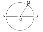 Đề cương ôn tập học kì 1 Toán 3 - Kết nối tri thức 6