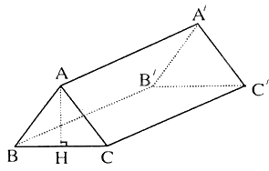 Đề cương ôn tập học kì 1 Toán 7 - Cánh diều 5