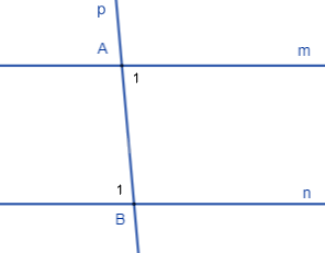 Đề cương ôn tập học kì 1 Toán 7 - Cánh diều 8