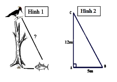 Đề cương ôn tập học kì 1 Toán 8 - Chân trời sáng tạo 14