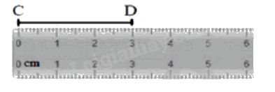 Đề cương ôn tập học kì 2 Toán 6 - Cánh diều 5