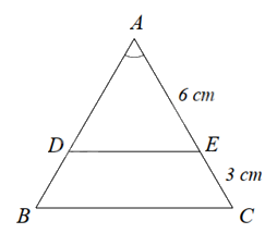 Đề cương ôn tập học kì 2 Toán 8 - Chân trời sáng tạo 2