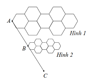 Đề cương ôn tập học kì 2 Toán 8 - Chân trời sáng tạo 8