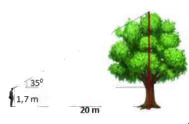 Đề khảo sát chất lượng đầu năm Toán 10 Kết nối tri thức - Đề số 2 1 6