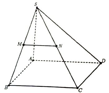 Đề khảo sát chất lượng Toán 11 năm 2024 - 2025 sở GD&ĐT Hà Nội 1 3