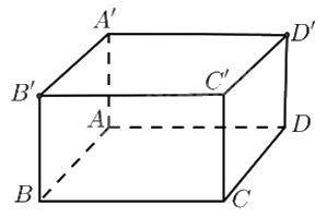 Đề khảo sát chất lượng Toán 12 lần 1 năm 2024 - 2025 sở GD&ĐT Phú Thọ 0 3