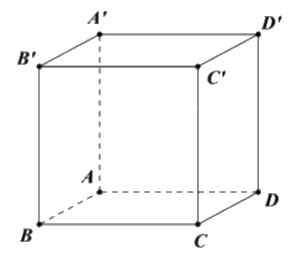 Đề khảo sát chất lượng Toán 12 lần 1 năm 2024 - 2025 trường THPT Triệu Sơn 3 - Thanh Hóa 1 1