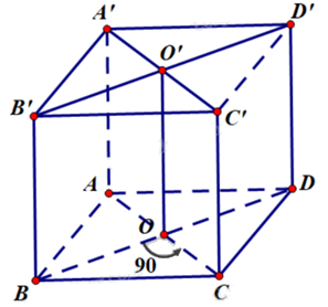 Đề khảo sát chất lượng Toán 12 lần 1 năm 2024 - 2025 trường THPT Triệu Sơn 3 - Thanh Hóa 1 2