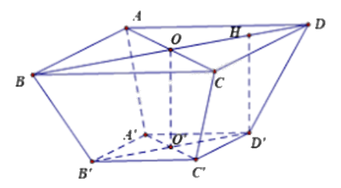 Đề khảo sát chất lượng Toán 12 lần 1 năm 2024 - 2025 trường THPT Triệu Sơn 3 - Thanh Hóa 1 10