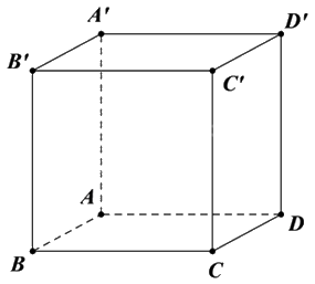 Đề khảo sát chất lượng Toán 12 lần 1 năm 2024 - 2025 trường THPT Triệu Sơn 4 - Thanh Hóa 0 4