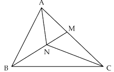 Đề khảo sát đánh giá năng lực vào lớp 6 môn Toán trường Lương Thế Vinh năm 2025 (đề 1) 9