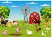 Đề kiểm tra giữa học kì 1 Toán 5 Chân trời sáng tạo - Đề số 5 1 2