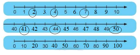 Đề kiểm tra học kì 1 Toán 2 Chân trời sáng tạo - Đề số 1 1 4