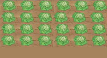 Đề kiểm tra học kì 1 Toán 3 Cánh diều - Đề số 4 2