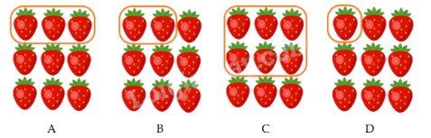 Đề kiểm tra học kì 1 Toán 3 Chân trời sáng tạo - Đề số 14 0 1
